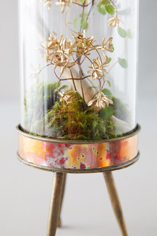 Distressed Metal + Glass Terrarium on Stand #4