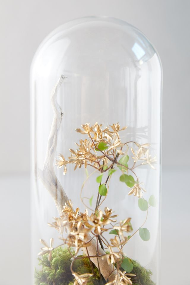 Distressed Metal + Glass Terrarium on Stand #5