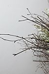 Wyeth Spring Wreath #3