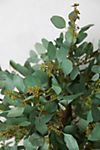 Faux Eucalyptus Topiary Plant #1