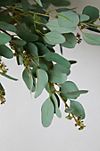 Faux Eucalyptus Topiary Plant #2