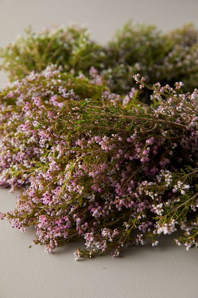 Heather Melanthra Wreath #1