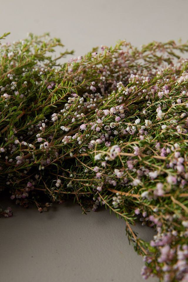 Heather Melanthra Wreath #3