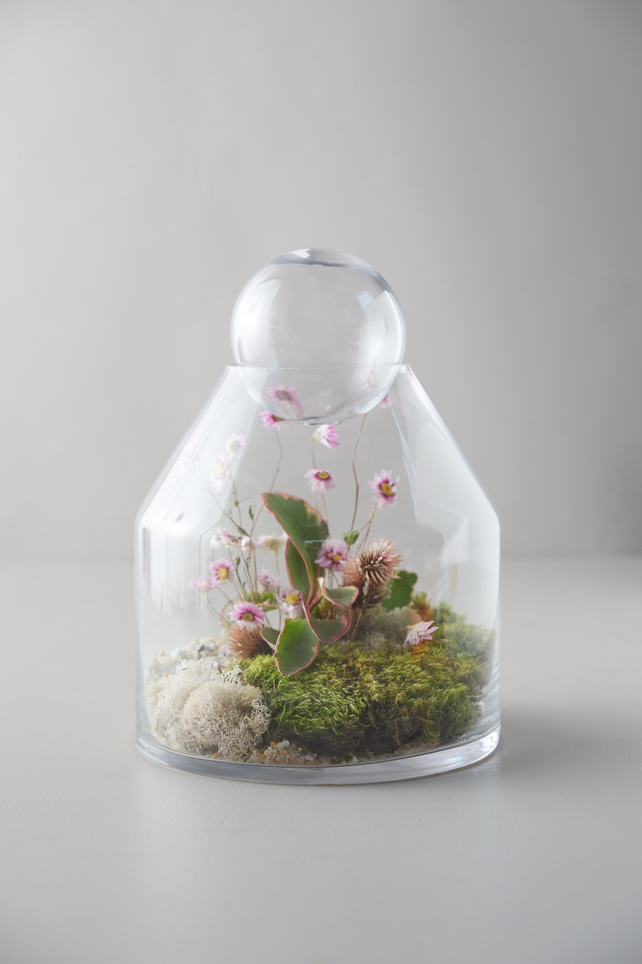 Tall Ball-Top Terrarium