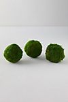 Natural Moss Balls, Set of 3