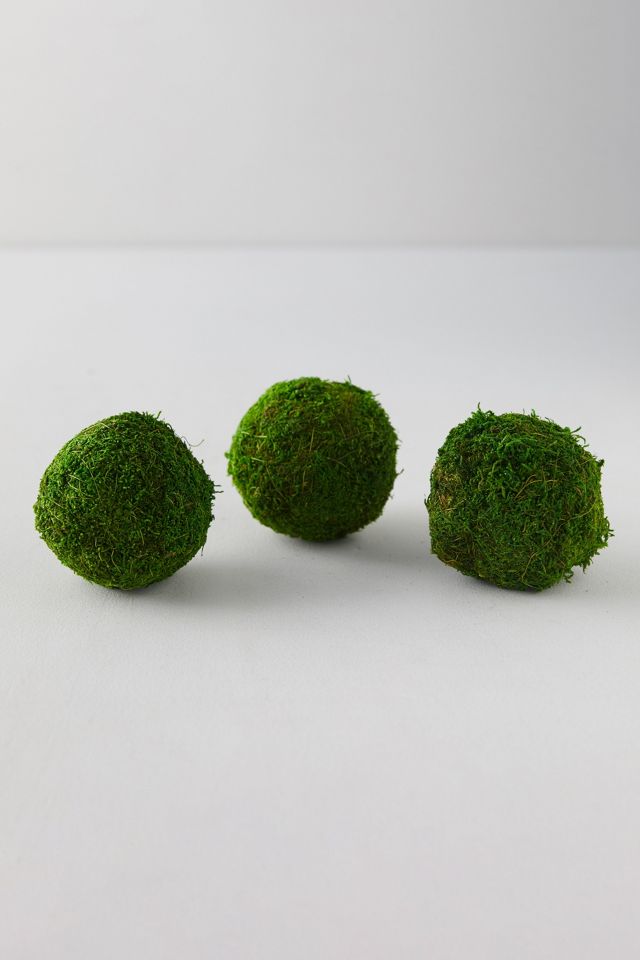 Natural Moss Balls, Set of 3 #1