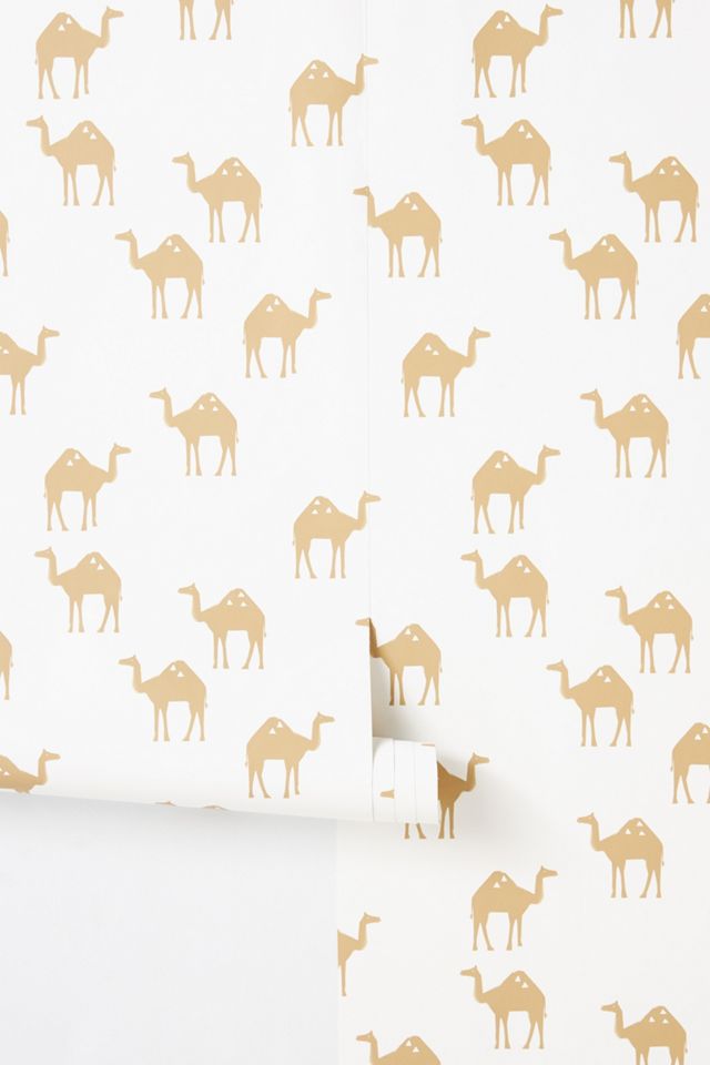 Oasis Camel Wallpaper #1