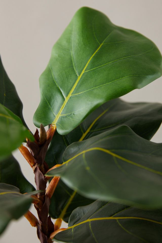 Faux Fiddle Leaf Fig Tree, 18 #3