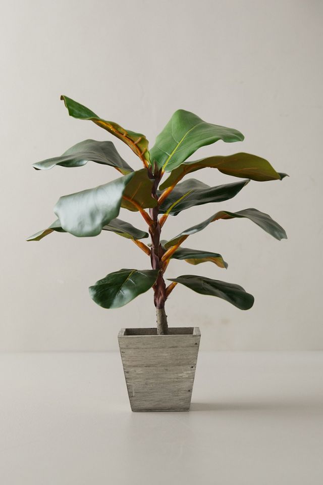 Faux Fiddle Leaf Fig Tree, 18