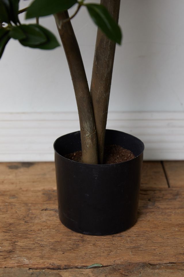 Faux Euonymus Japonicus Tree #3