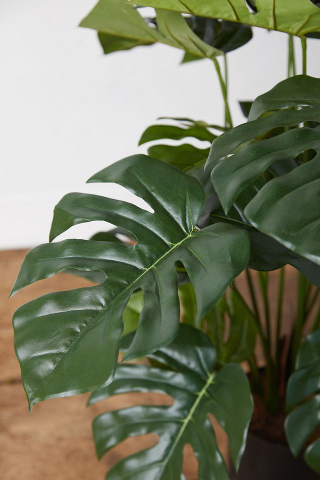 Faux Split Leaf Philodendron Plant #2