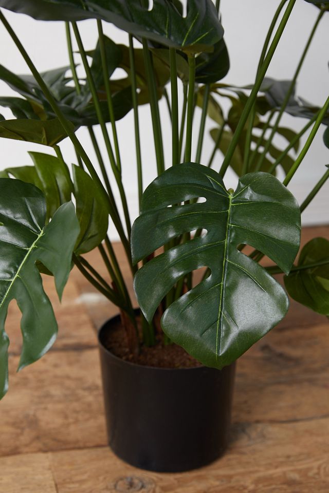 Faux Split Leaf Philodendron Plant #3