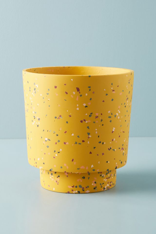 Terrazzo Banjo Planter #1