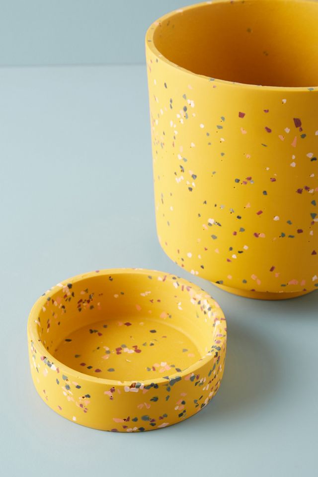 Terrazzo Banjo Planter #2