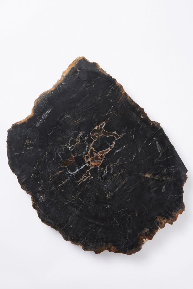 Petrified Wood Cheese Board #1