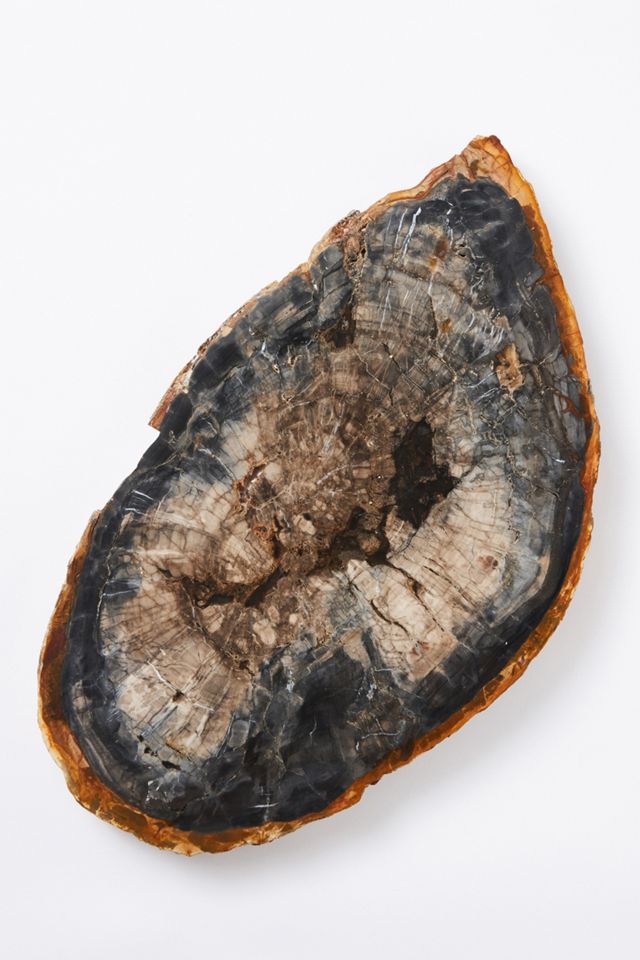 Petrified Wood Cheese Board #2