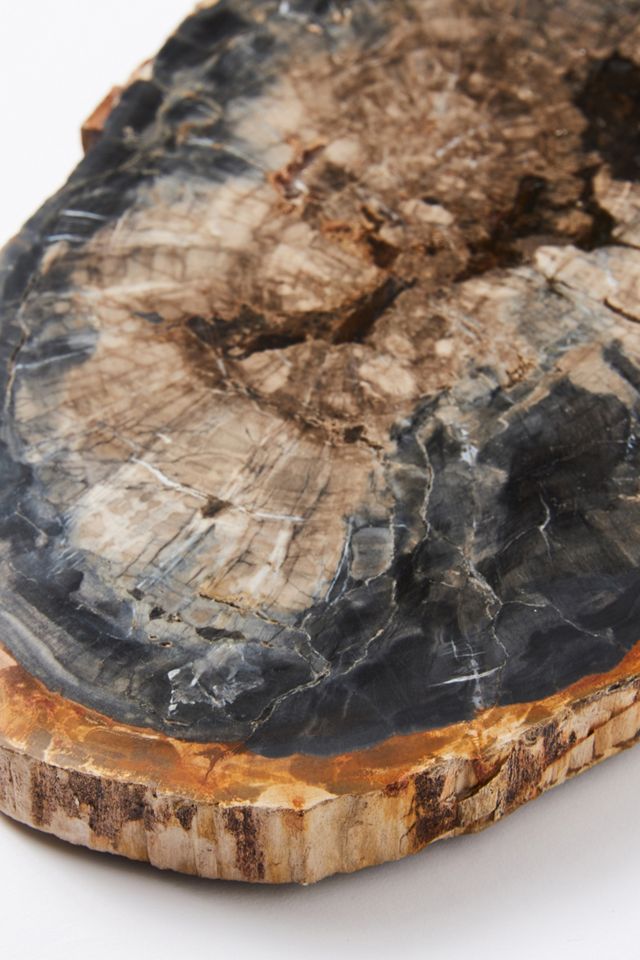 Petrified Wood Cheese Board #3