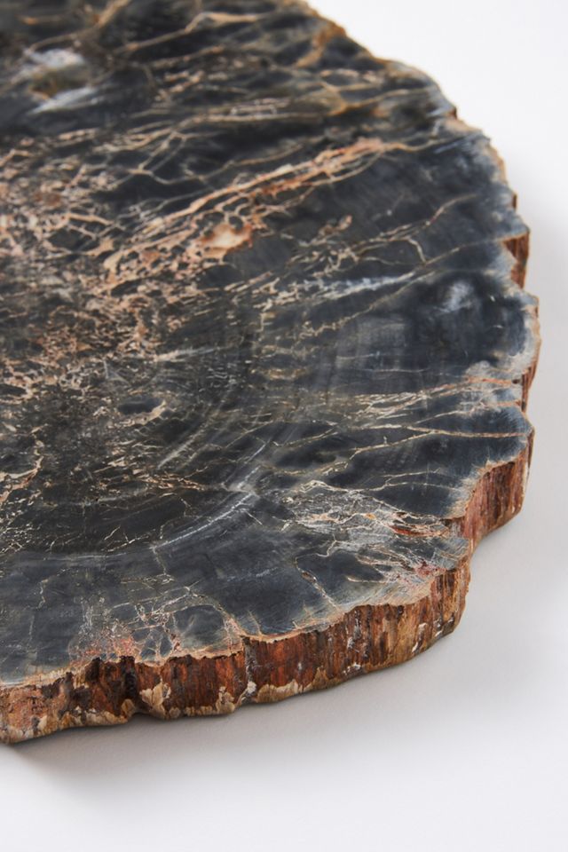 Petrified Wood Cheese Board #4