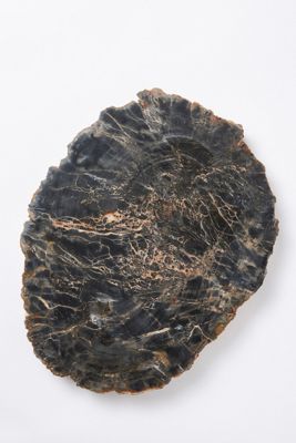 Petrified Wood Cheese Board