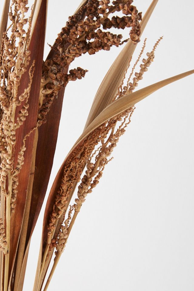 Dried Bahia Spear Bouquet #2