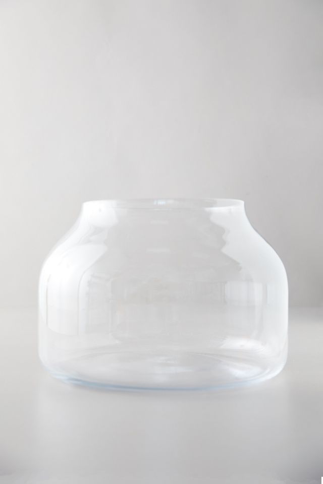 Low Wide Glass Terrarium #1