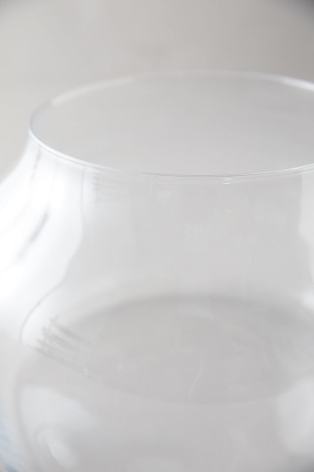 Low Wide Glass Terrarium #2