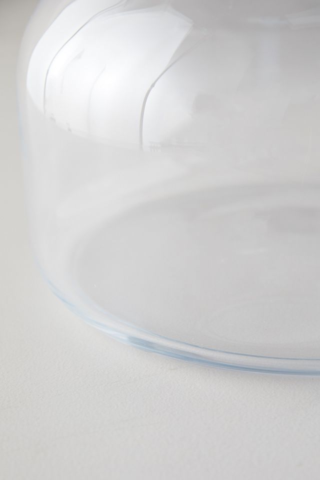 Low Wide Glass Terrarium #3