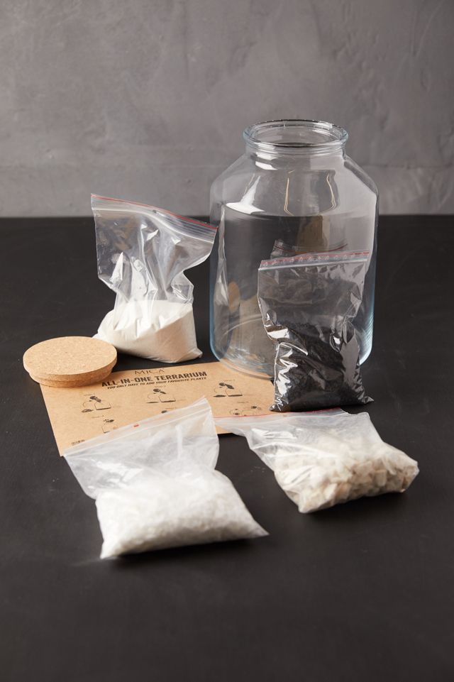 Terrarium Starter Kit #1