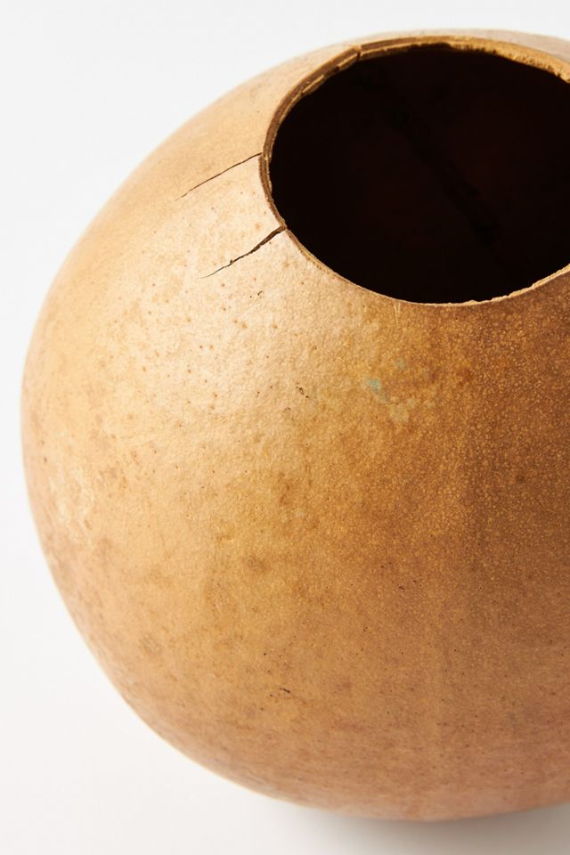 Dried Bacacia Gourds, Set of 3 #4