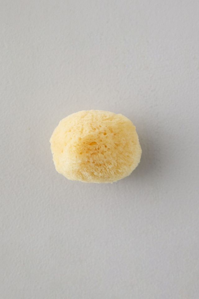 Facial Sea Sponge #1