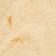 NEUTRAL MOTIF