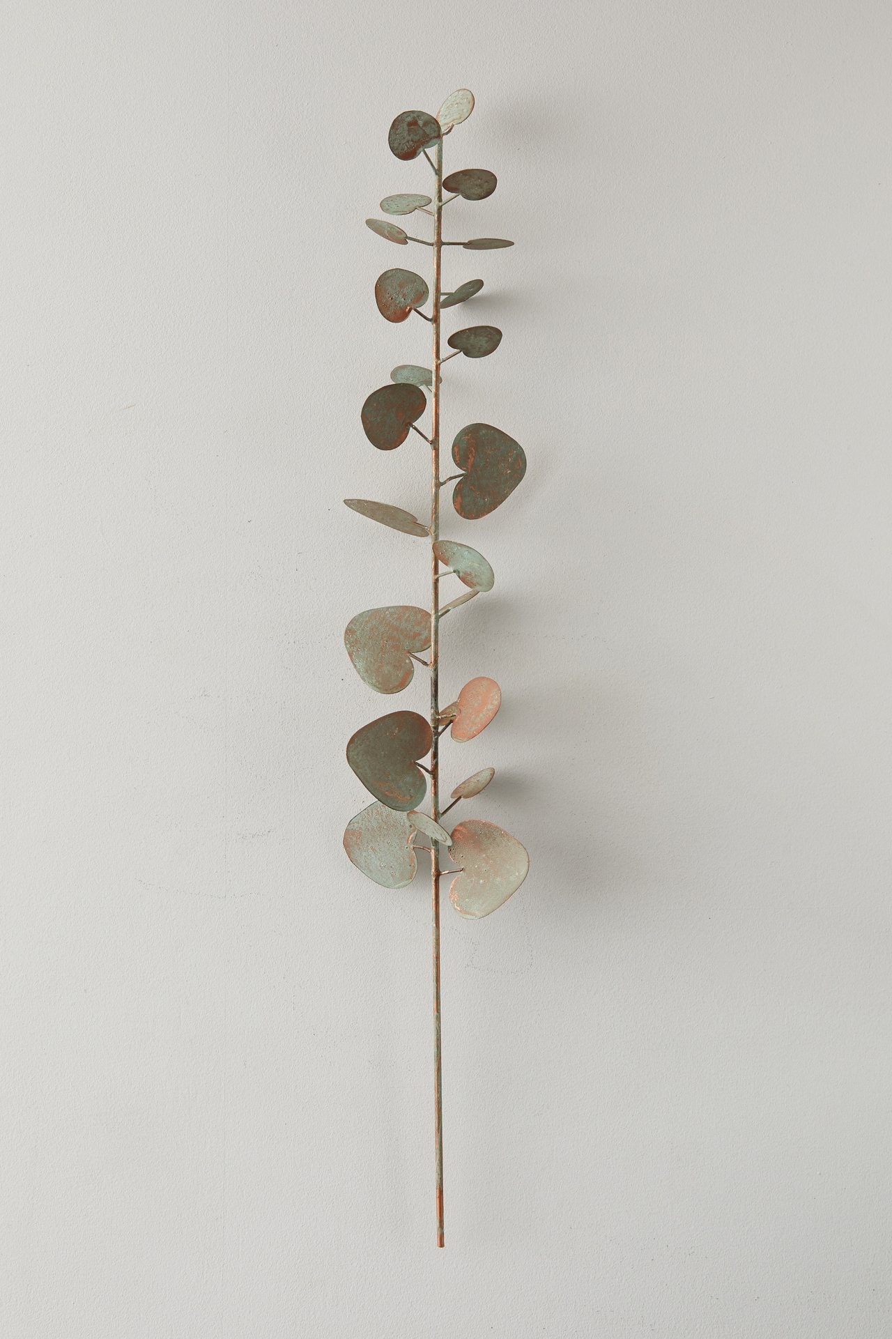 Iron Eucalyptus Stem