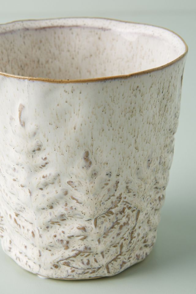 Fern Pot #1
