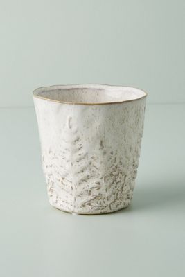 Fern Pot
