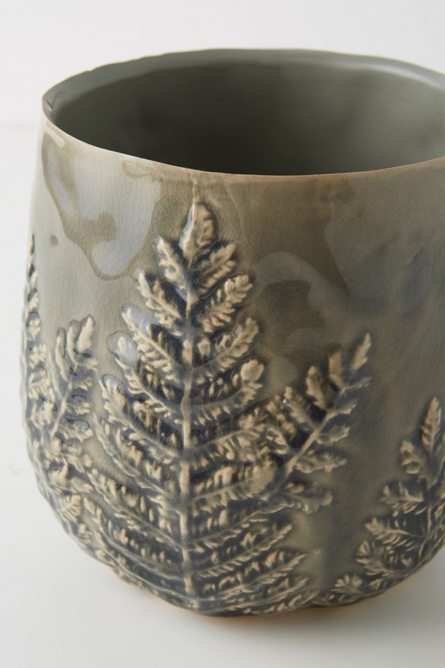 Fern Pot #2