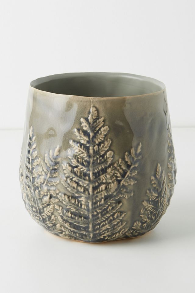 Fern Pot #1