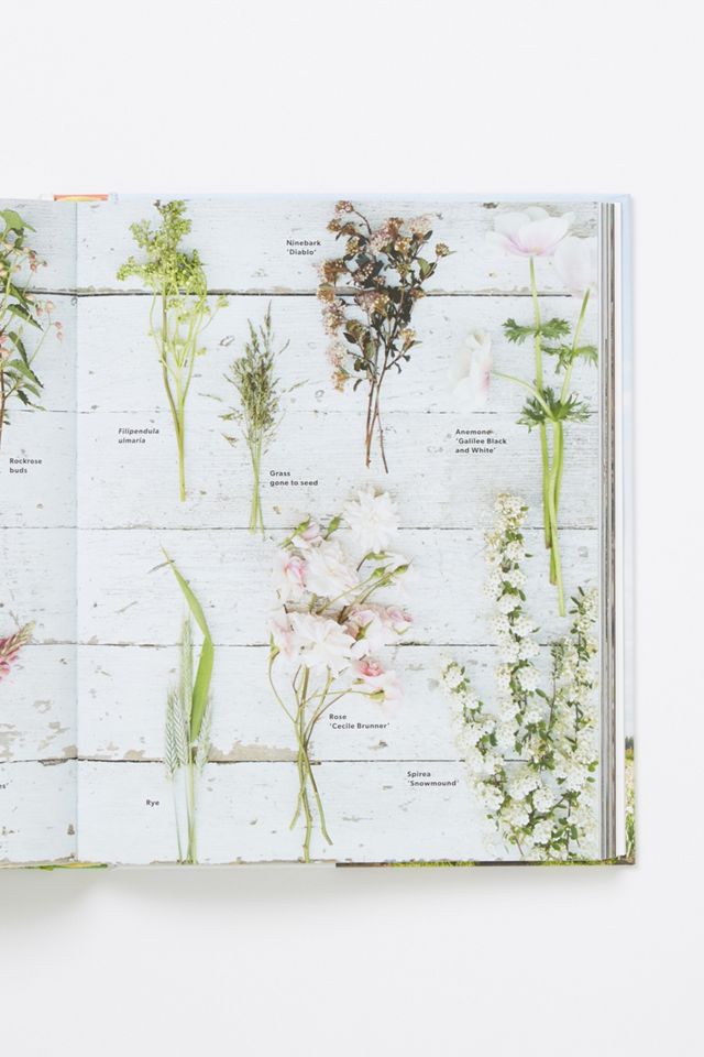 Floret Farm's A Year In Flowers #2