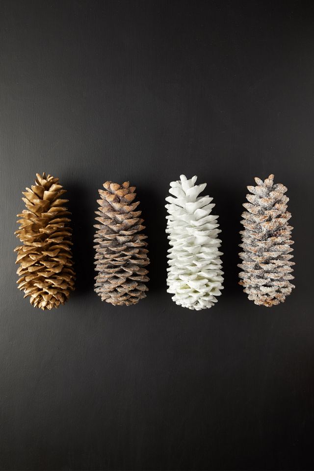 Waxed Sugar Pine Cone #1