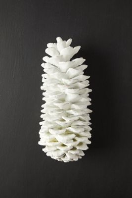 Waxed Sugar Pine Cone