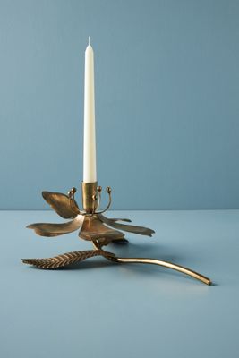 Magnolia Taper Holder