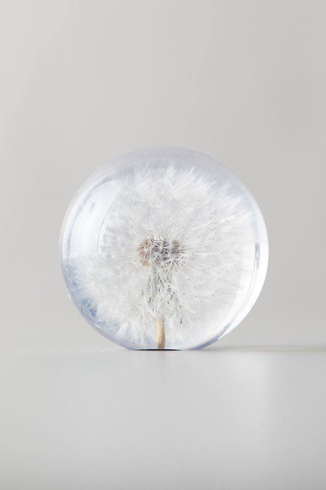 Floral Paperweight 