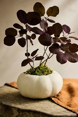Ceramic Pumpkin Planter