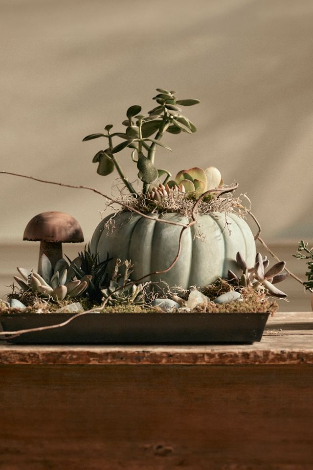 Ceramic Pumpkin Planter #5