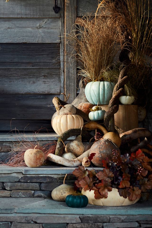 Ceramic Pumpkin Planter | Anthropologie