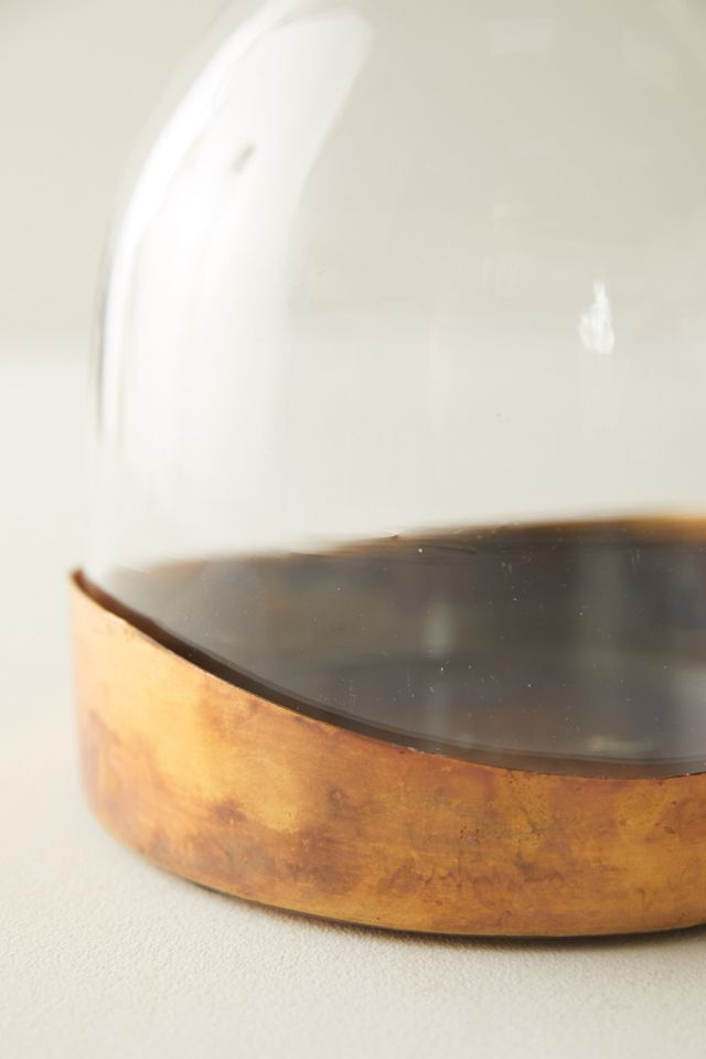 Cloche Vase #3