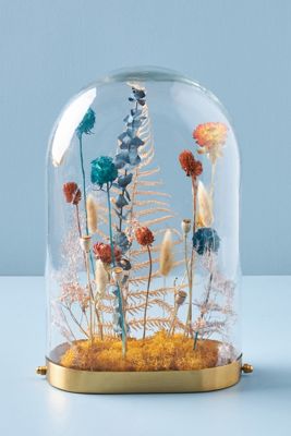 Floral Curiosity Cloche