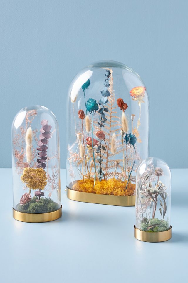 Floral Curiosity Cloche #2