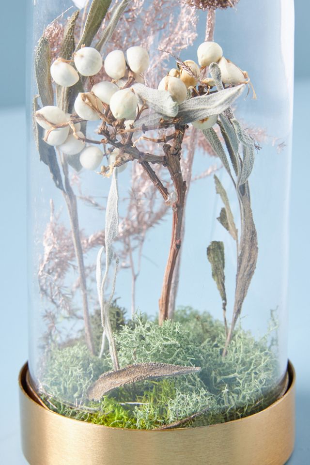 Floral Curiosity Cloche #1