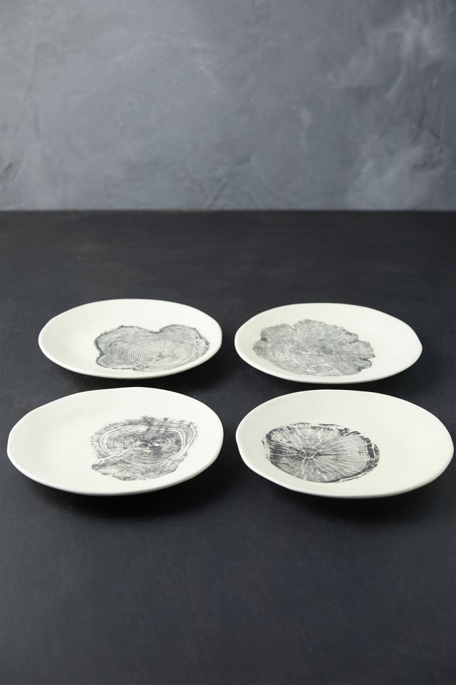 Tree Ring Plates, Set of 4 #1