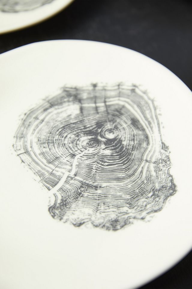 Tree Ring Plates, Set of 4 #2